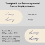 LAMY 2000 M 002 Fountain pen-  ‎‎1201351