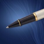 Waterman Expert STAINLESS STEEL GOLD TRIM Rollerball Pen S0951980