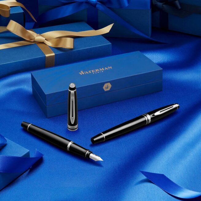 Waterman Expert STAINLESS STEEL GOLD TRIM Rollerball Pen S0951980